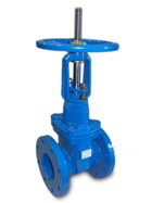 Rising Stem Gate Valves